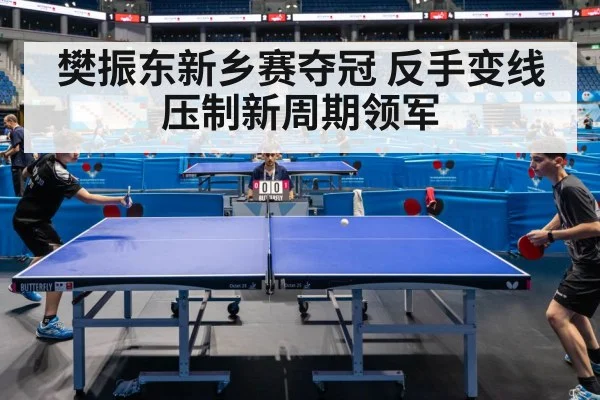 樊振东新乡赛夺冠 反手变线压制新周期领军
